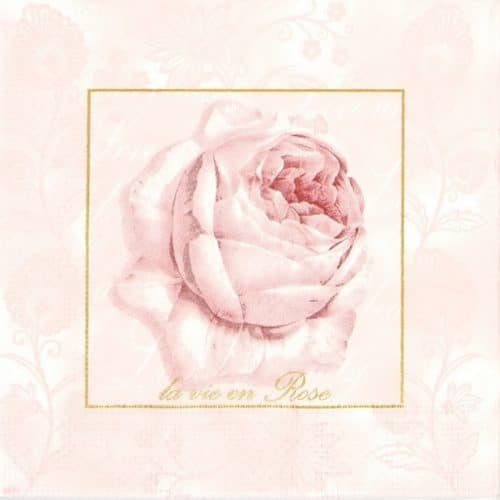 Lunch Napkins (20) - Pastel Rose