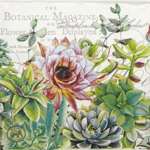 Single Decoupage Napkin - Pink Cactus