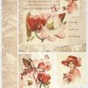 Rice Paper - Red Magnolia