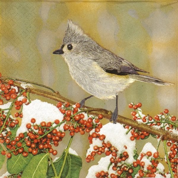 a bird on a branch with berries