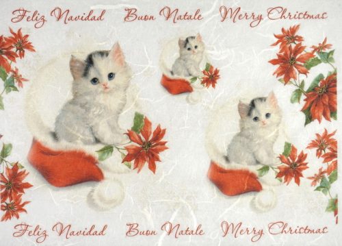 Rice Paper - Merry Christmas my cat