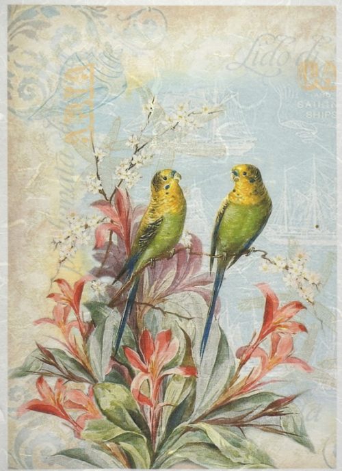 Rice Paper - Parrots in love