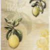 Rice Paper - Lime and lemon Rice Paper - Lime and lemon