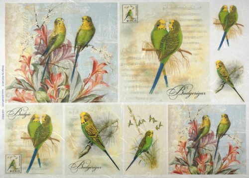 Rice Paper - Green Parrots