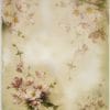 Translucent/Vellum Paper - Blossom white