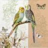 Paper Napkin - Budgies coral