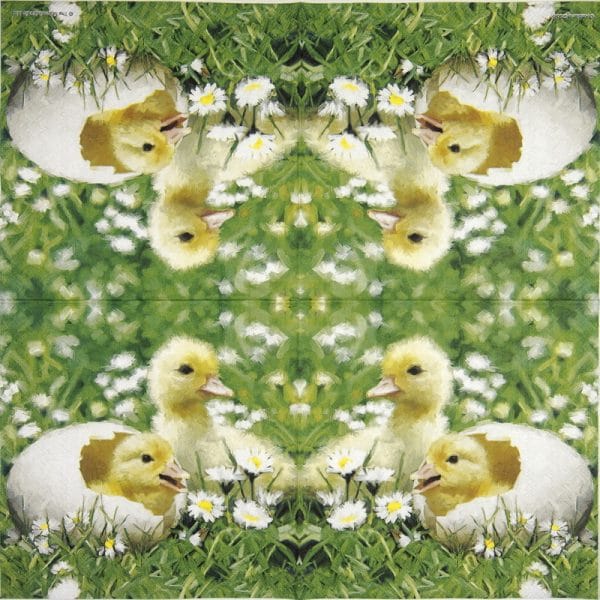 Paper Napkin - Newborn chicks