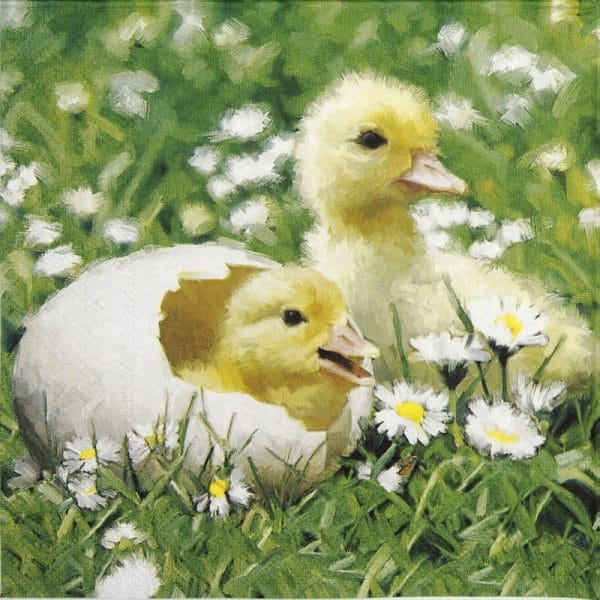 Paper Napkin - Newborn chicks