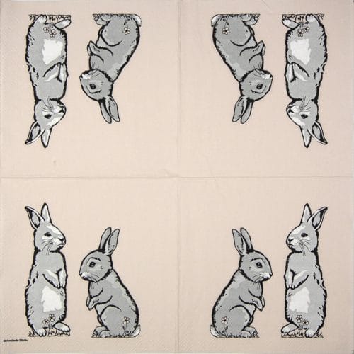 Ambiente_two-rabbits-coral_23314365