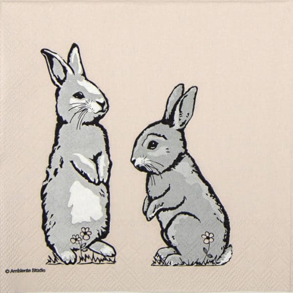 Paper Napkin - Two rabbits coral