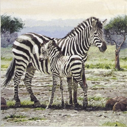 Paper Napkin - Zebras