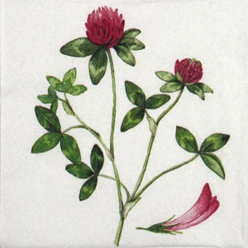 Paper Napkin - Red Clover