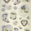 a collection of lavender flowers