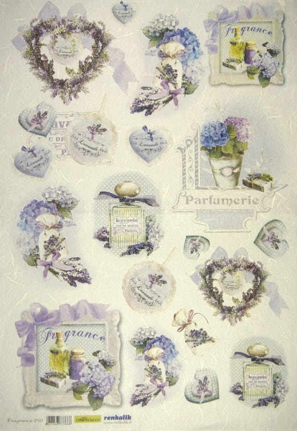 a collection of lavender flowers