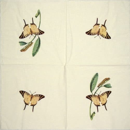 paper-design_nature-butterfly