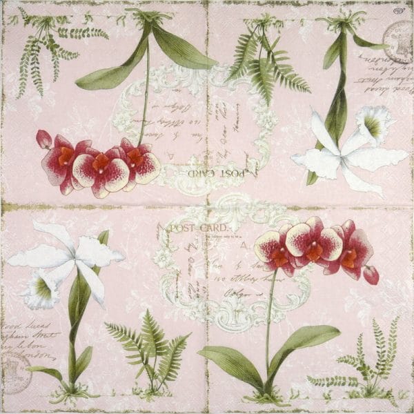 Paper Napkin - Orchid Light Rose