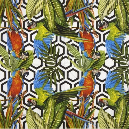 Ihr_tropical-parrots_black_845707
