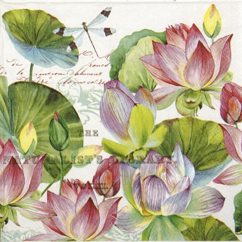 Lunch Napkins (20) - Water Lilies