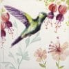 Lunch Napkins (20) - Hummingbird