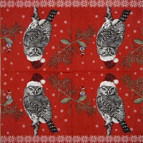 Paper-design_Robin-and-owl_600064