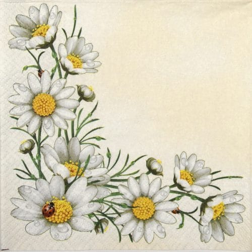 Paper Napkin - Bunch of Marguerites