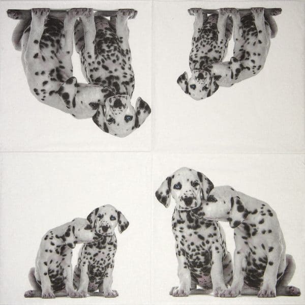 Lunch Napkins (20) - Dalmatians