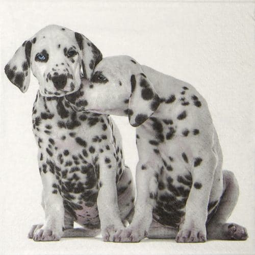 Paper Napkin - Dalmatians