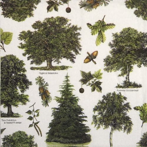 Paper Napkin -  Tassotti: Alberi