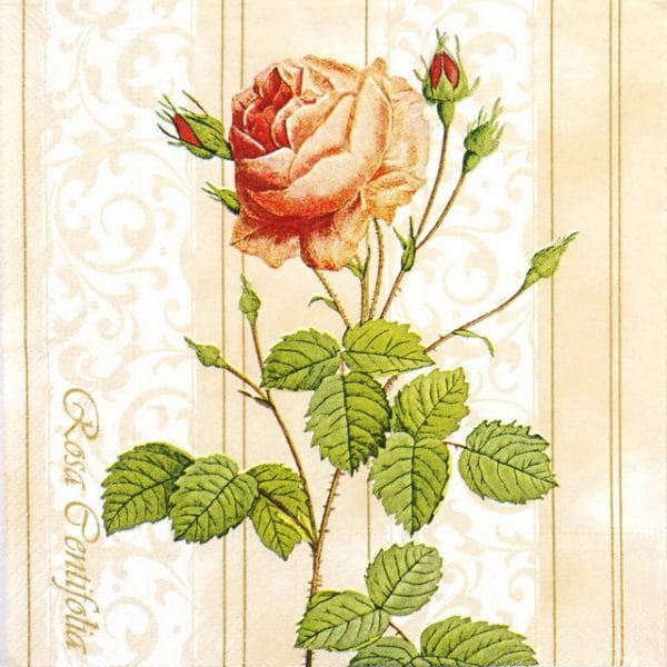Paper Napkin Rose Wallpaper