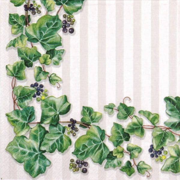 Paper Napkin - Hedera