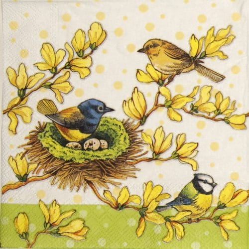 Paper Napkin - Birds on Forsythia