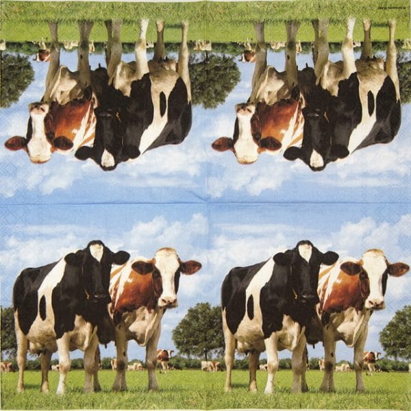 Lunch Napkins (20) - Cows