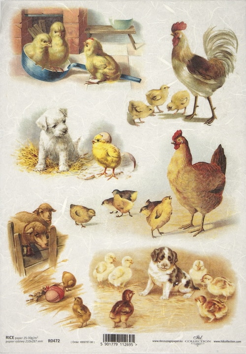 Rice Paper - Easter Chicken Farm