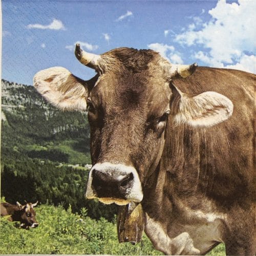 Paper Napkin - Cow Wally