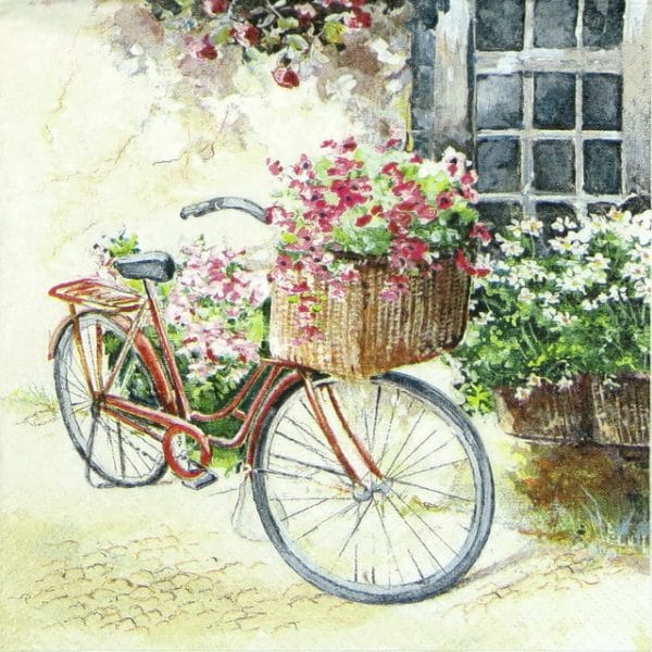 Lunch Napkins (20) - Flower Bike