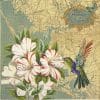 Paper Napkin - Adriana Sanmartin: Pretty Hummingbird