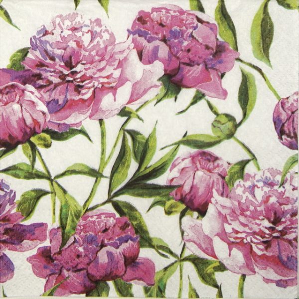 Paper Napkin - Pink Peonies