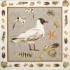 Cocktail Napkins (20) - Black headed seagull sand