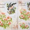 Cocktail Napkin - Black headed seagull blue
