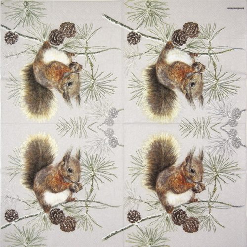 Cocktail Napkins (20) - Squirrel in Winter