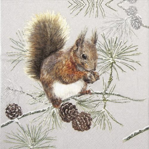 Cocktail Napkin - Squirrel in Winter