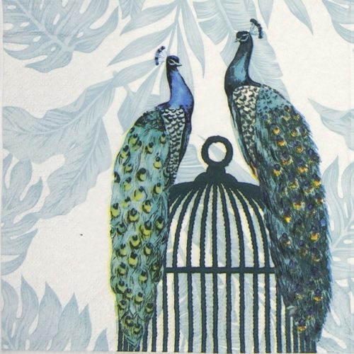 Lunch Napkins (20) - Peacocks