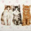 Lunch Napkins (20) - Three beautiful cats