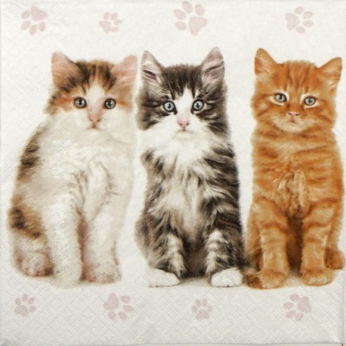 Paper Napkin - Three beautiful cats