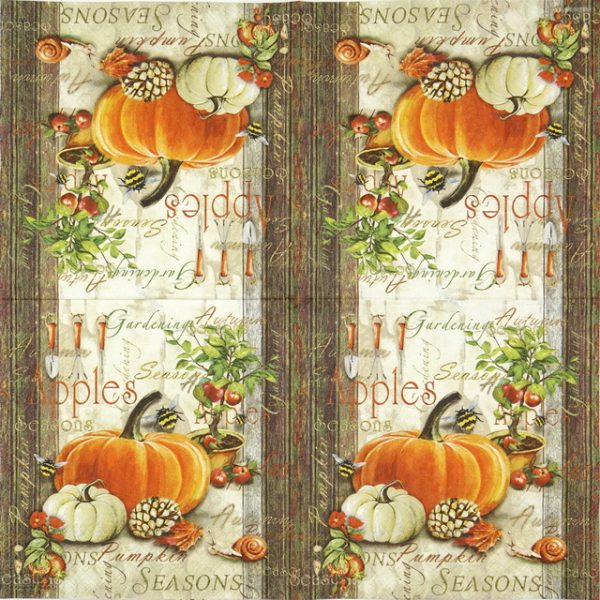 Cocktail Napkins (20) - Autumn Gardening