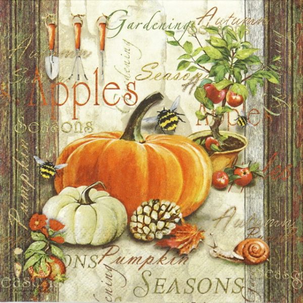 Lunch Napkins (20) - Autumn Gardening