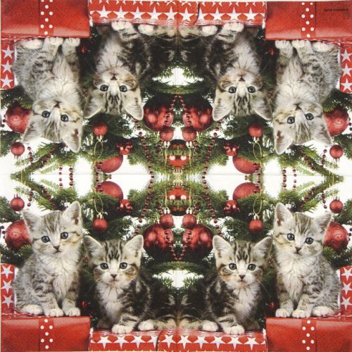 Ambiente_Christmas-kitten_33314670
