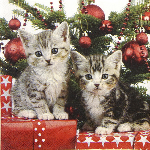 Paper Napkin - Christmas Kitten