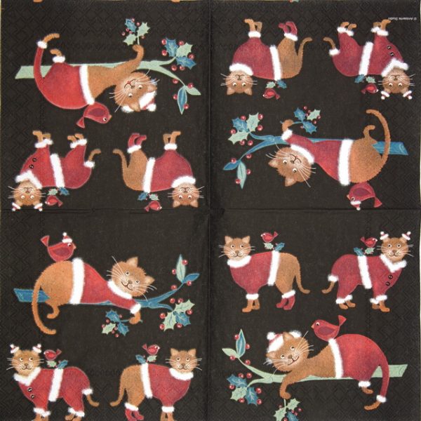 Lunch Napkins (20) - Dressed Cats Black - Image 2