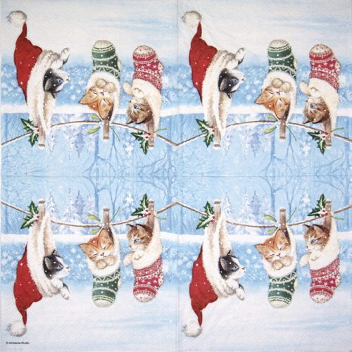 Ambiente_Kitten-in-winterland_33314800